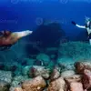 Barbara Sandra - @barbarasandra236236 - TikTok