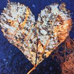 Barbara Sandstrom - @barb_sandstrom53 - Instagram