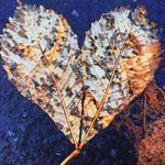 Barbara Sandstrom - @barbara.kennedy.3766 - Instagram