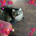 Barb Sangster - Facebook