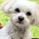 Barbara Sanner - @barbara.sanner61 - Instagram