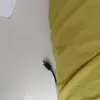 Barbara Sant - @barbarasantos78295 - TikTok