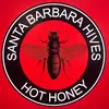 Santa Barbara Hives - @santa.barbara.hiv - TikTok