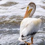 Barbara Westbrook Santangelo Guidry - @bguidry69 - Instagram