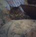 Barbara Sarver - Facebook