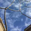 barbarasaura - @barbarasaura - TikTok