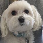 💕Barbara Savini💕 - @babette1946 - Instagram