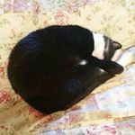 Barbara Saxton - @dumplin1998gmail.com_ - Instagram