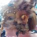Barbara Scanlan - Facebook