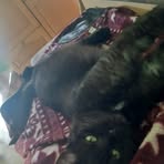 Barbara Schauer - Facebook