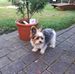 Barbara Scheffler - Facebook