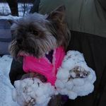 Barbara Scheffler - @barbara.scheffler.39 - Instagram
