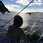 Barbara Scherrer - @headstandnow - Instagram