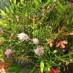 Barbara Scherrer - @barbara.scherrer.773 - Instagram