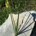 Barbara Scherrer - Facebook