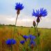 Barbara Schmunk - Facebook