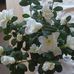 Barbara Schnabel - Facebook