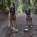 Barbara Schnabel - Facebook