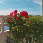 Barbara Schneck Cole - @8346springhill - Instagram