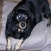 Barbara Schoof - Facebook
