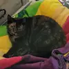 Barbara Scholes - @barbara.scholes - TikTok