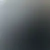 Barbara Schoenmakers - @barbaraschoenmake - TikTok