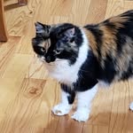 Barbara Schoonover - @schoonover3878 - Instagram