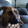 barbraschoonover - @barbraschoonover - TikTok