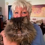Barbara Schormann - @babs1441955 - Instagram