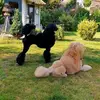 barbaraschorzmann - @barbaraschorzmann - TikTok