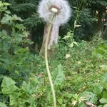 Barbara Schott - @barbara.schott.754 - Instagram