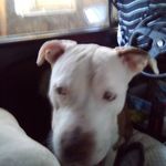 Barbara Schramm - @schramm565 - Instagram