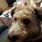 Barbara Schramm Kepa - @schrammkepa - Instagram
