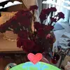 SWEETNESS2428 - @barbaraschramm0 - TikTok