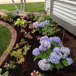 Barbara Schriever - @barbkschriever - Instagram