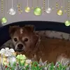 Barbara Schrijver135 - @barbaraschrijver1 - TikTok