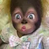 barbaraschrock252 - @barbaraschrock252 - TikTok