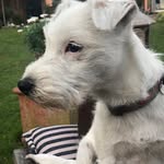 Barbara Schröder - @schroederaxel60 - Instagram