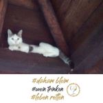 Barbara Schubert - @barbara.schubert.777 - Instagram