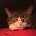 Barbara Schuck - Facebook