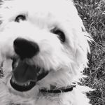 Barbara Schuckert - @barbara_schuckert_2024 - Instagram