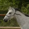 Barbara Schuhmacher - @barbara.schuhmach - TikTok