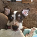 Barbara Schutt - Facebook