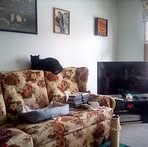 Barbara Schutt - Facebook
