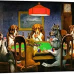 Barbara Schutt - Facebook