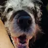 Barbara Schùtt - @babsy1972 - TikTok