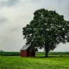 barbaraschutter - @barbaraschutter - TikTok
