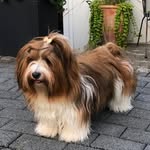 Barbara Schwanke - @barbara.schwanke - Instagram
