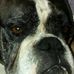 Babs Schweers - Facebook