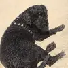 Barbara Schweikert - @barbara.schweiker - TikTok